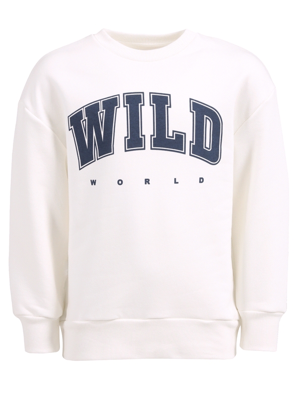 свитшот 1ПДСД3977335