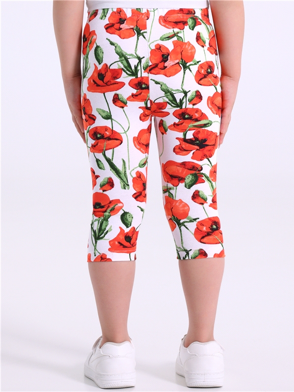 2бриджей 2ДБР5716809н