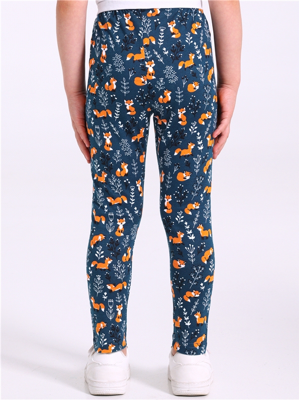 2легинсов 2ДРЛ5641001н