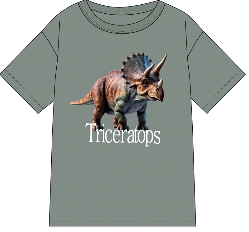 футболка 1ПДФК4332001