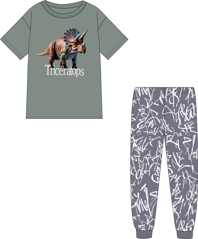 футболка+брюки 2ПФБ5759001н