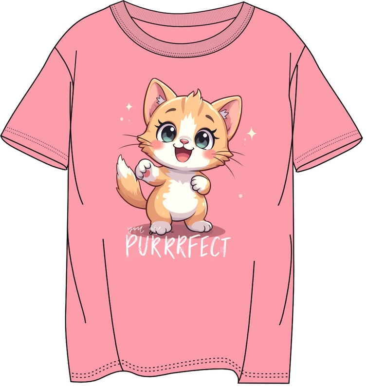 футболка 1ДДФК4328001